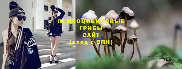скорость Богородицк