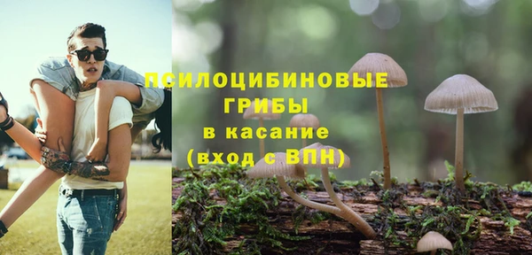 скорость Богородицк