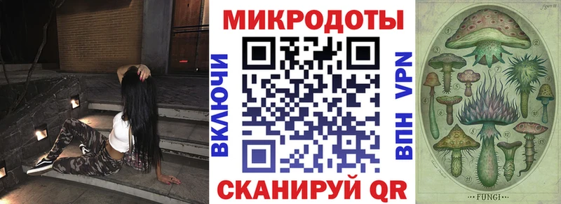 даркнет сайт  Славгород  blacksprut зеркало  Псилоцибиновые грибы Psilocybe 