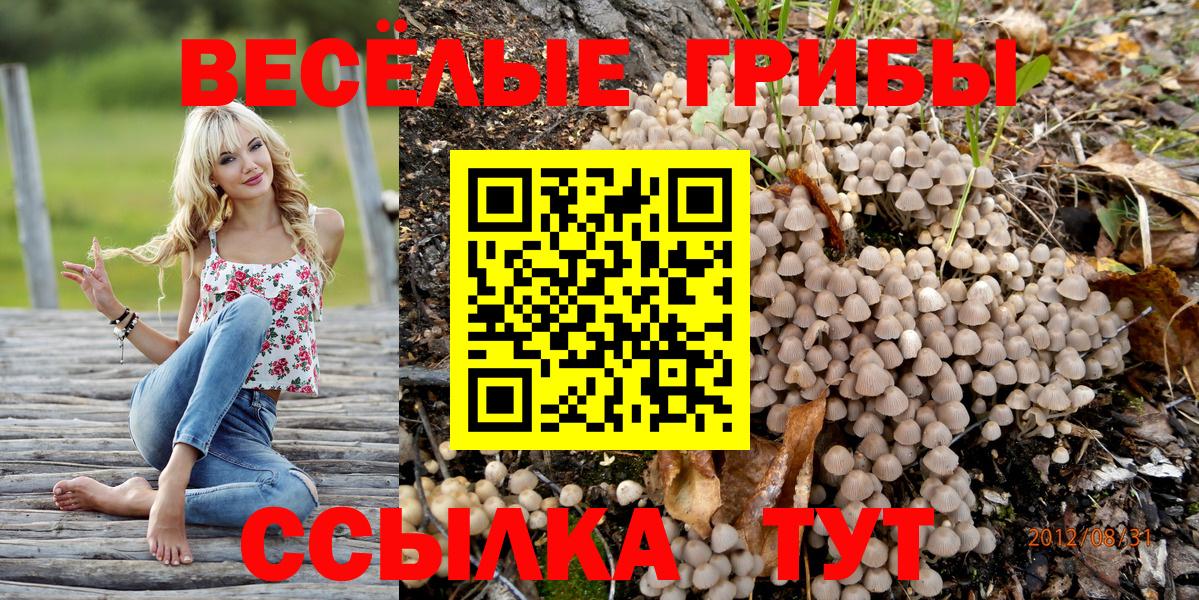 Псилоцибиновые грибы Cubensis Славгород