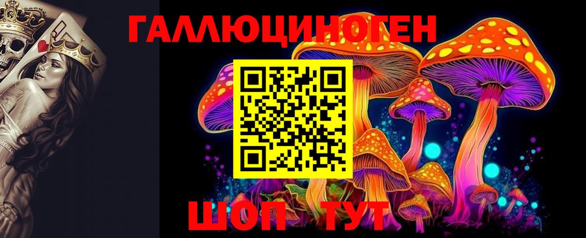 Славгород  Галлюциногенные грибы Cubensis  Вход с VPN  Псилоцибиновые грибы Cubensis 